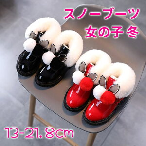 Xm[u[c t@[||t V[gu[c ̎q H ~ [gu[c ׂ qC WjA q LbY V[g  N LL  h LbYu[c 