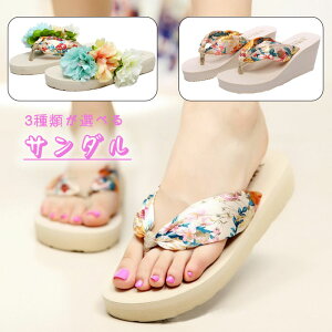 T_ Xbp fB[X r[`T_ r[T  ₷  tbg EGbW\[ V[Y ԕ 킢 t  r[`Xbp s C 킢 r 