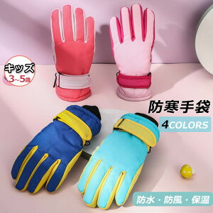  XL[p O[u LbY ̎q j̎q 3-5 V Xm[{[h h Xm[O[u ܖ{w qp jp ɂ Xm[O[u ʊw~  h h ۉ N 