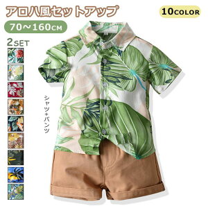 y2_Zbgzq Z  j̎q oq An Z킨 ZbgAbv Vc V[gpc  킢 JbRCC BeLO oYj eq Ƒ v[g 蕨 JWA