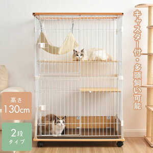 y[zy365ԕiۏ؁zL lR LbgP[W ybg ؐ i i` 130cm 1i2i\ LX^[t LbgnEX bNt nbNt  ی i  