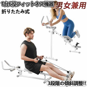 【即納】【365日間品質保証】ダイエット器具 1台6役 腹筋ローラー アブグライダー ローイングマシン プッシュアップ レッグプレス サイドウエスト アブローラー ローマンチェア ヒップトレ