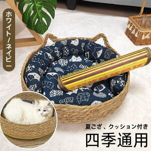 ybgxbh ҂ Lxbh ~p ėp ی^ Lp ^ xbh xbh L` lGʗp  VRf ҂ LbgnEX L܂Ƃ NbVt ΍ ۉh  ʋC