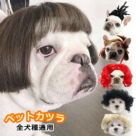 【一部即納】ペット カツラ おもしろ 変装 仮装 かわいい コスプレ 写真記念 猫 犬 小型犬 中型犬 大型犬…
