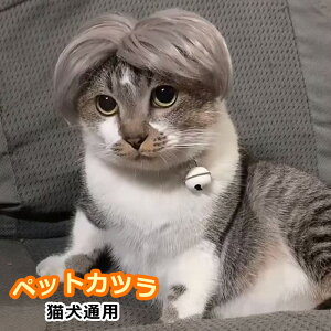 ybg Jc  Be ϑ  킢 RXv ʐ^LO L  ^ ^ o| ybg  p[} p[eB[ nEB ؍t@bV ybgpJc