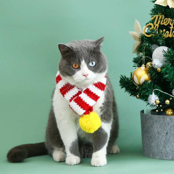 楽天市場】ペット マフラー クリスマス 毛糸首飾り 小型犬 猫 ねこ 