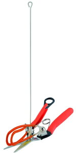 T{e AG-21 AXpn 202211 '