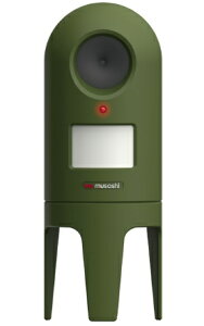 TV REP-600 L gL悯 musashi '