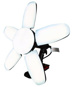 PRO standard PNT-MB LED�y���^�S��MB �I�[���u���b�N 2000lm�`10000lm���i�K������ 091128 '