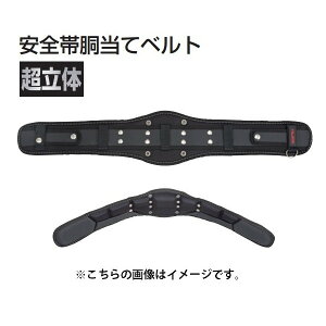 TAJIMA ^W} Sѓăxg  CRX700 SEGΉ STCY TJMfUC 166456 '