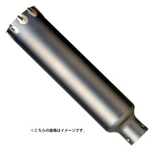 (�{�b�V��) ALC�R�A �J�b�^�[ PAL-029C �n��a29mm�� ��]��p 130mm�܂ł�ALC�̌����� �|���N���b�N�V�X�e�� BOSCH ���^��