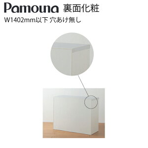 Pamouna pEi IvV ʉ XR-3 W1402mmȏ  HI [ Lb` Lb`c[ {yz
