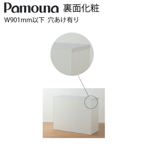 Pamouna pEi IvV ʉ XR-10 W901mmȉ L HI [ Lb` Lb`c[ {yz