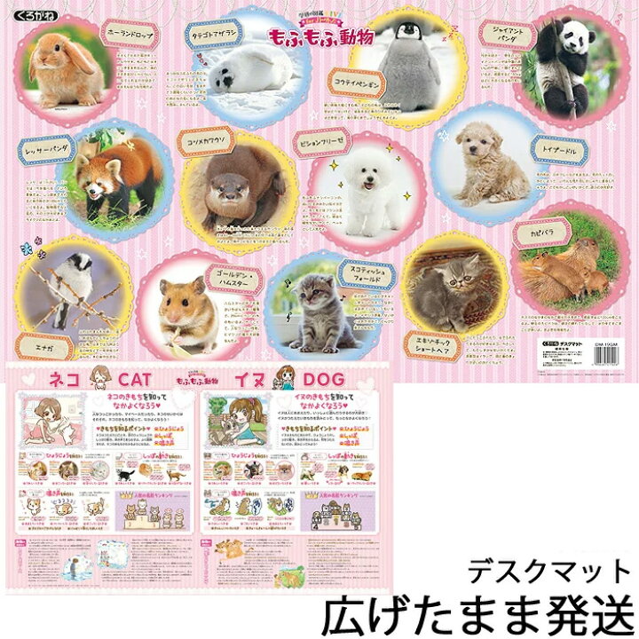 楽天市場 デスクマット 22年 もふもふ動物 Dm 19gm いぬ ねこ もふもふ 動物 かわいい マット シート 傷防止 数量限定北海道 九州は送料500円かかります 家具の穴場 カナケン