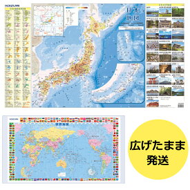 【P5倍】2023年モデル コイズミ　デスクマット 日本地図/世界地図　 小学館NeO図鑑YDS-507MP 日本地図/裏面世界地図 学習机用天板保護シート北海道・九州は送料800円かかります。