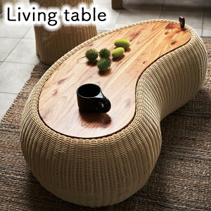 Z^[e[u e[u  ؐ VR [ r[Y^ ^ ^ k 킢  O rO _CjO i J NRS-601 rOe[u