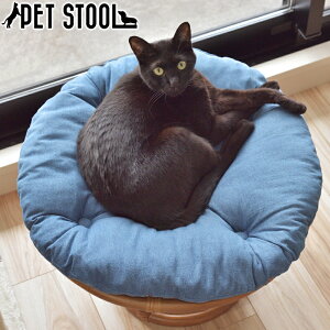 ペット スツール クッション ペットベッド 猫 小型犬 籐 ラタン ペット用品 キャット ドッグ ゆったり 椅子 チェア ハウス おしゃれ おもちゃ収納 リゾート かわいい リビング 取り外し可能