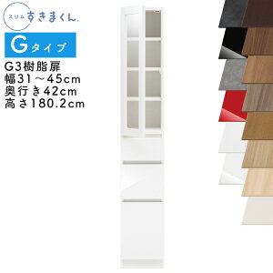 yJݒutzX܂ G^Cv Lrlbg 31`45cm s42cm 180.2cm G3 JiG3Lj EJiG3Rj SSDi IׂJ[  [ Lb` ʏ rO fbg