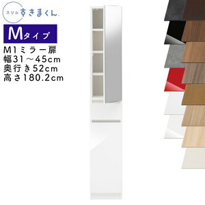 yJݒutzX܂ M^Cv ~[Lrlbg 31`45cm s52cm 180.2cm M1 JiM1Lj EJiM1Rj SSDi IׂJ[   [ Lb` ʏ rO f