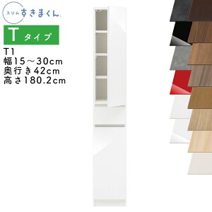 yJݒutzX܂ T^Cv Lrlbg 15`30cm s42cm 180.2cm T1 JiT1Lj EJiT1Rj SSDi IׂJ[  [ Lb` ʏ rO fbgX