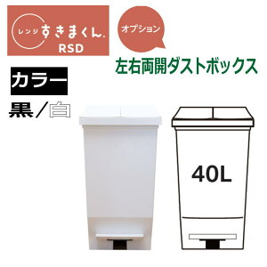 yz܂ W܂ W IvV@_Xg{bNX@RSD-@40L^Cv27.6cm ×49.6cmWSJ59cm2J[FzCg@ubNI[_[î߃LZs