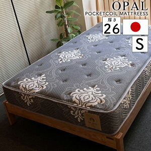 }bgX VO S 26cm |PbgRC QԂ Q ̈U h_j R hL킽 { xbh}bg O[ sz RC 465Oc Ip[ VOTCY@S