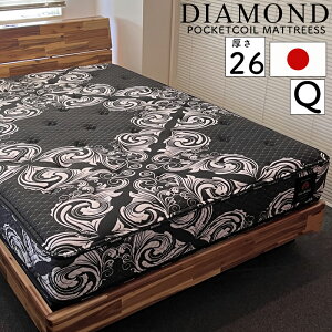 }bgX NC[ Q 26cm |PbgRC QԂ Q ̈U h_j R hL킽 { xbh}bg ubN ݔz RC 1008i504×2jOc _Ch NC[