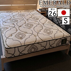 }bgX VO S 26cm |PbgRC QԂ Q ̈U h_j R hL킽 { xbh}bg zCg sz RC 528Oc Gh VOTCY@S