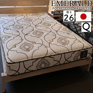 }bgX NC[ Q 26cm |PbgRC QԂ Q ̈U h_j R hL킽 { xbh}bg zCg sz RC 1008i504×2jOc Gh NC[T