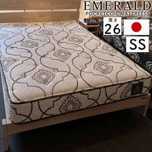 }bgX Z~VO SS 26cm |PbgRC QԂ Q ̈U h_j R hL킽 { xbh}bg zCg sz RC 429 Oc Gh Z~VOTC