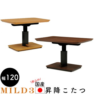  ~ R^ce[u ~ _CjO 120×80 g[ q[^[t Y ` y_  H ~ 茳Rg[[ x rO _CjOqJ LDT