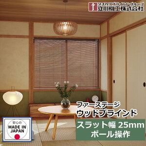 �u���C���h �ؐ� �t�@�[�X�e�[�W �E�b�h�u���C���h 25mm�X���b�g�E�|�[������ �I�[�_�[ 1cm�P�� �l�W�g�p ����@�H �u���C���h �� �V���v�� ���t���ȒP ���{�� 25mm�X���b�g �|�[������