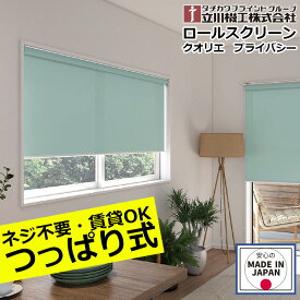 ロールスクリーン つっぱり クオリエ プライバシー ロールカーテン オーダー 1mm単位立川機工 ファーステージ クオリエ プライバシー つっぱり仕様無地 日本製 間仕切り 突っ張り つっぱり仕様