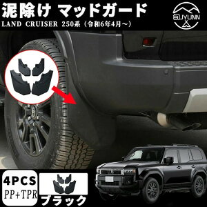 yN250 pzV^ hN[U[ 250 LC250 p[c D }bhK[h ԗptF_[ hXAbv ANZT[ JX^ O p[c GA GNXeA nCubh Op