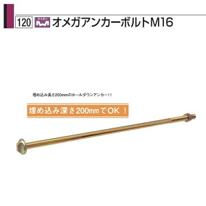 �^�i�J �I���K�A���J�[�{���g M16×800 AA3423 �i10�{���j1�P�[�X