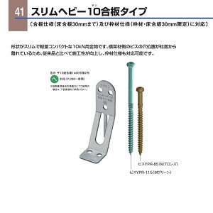 �J�l�V�� �X�����w�r�[10���^�C�v SHV10�|G �i1�j