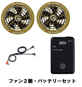 ���M �t�@��2��+28V�o�b�e���[�Z�b�g �t�@���W���P�b�g�p GF-1B+GB428 3�F