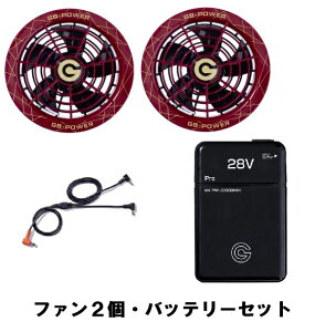 ���M �t�@��2��+28V�o�b�e���[�Z�b�g �t�@���W���P�b�g�p GF-1B+GB428 3�F