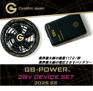 ���M �t�@��2��+28V�o�b�e���[�Z�b�g �t�@���W���P�b�g�p GF-1B+GB428PD-B01