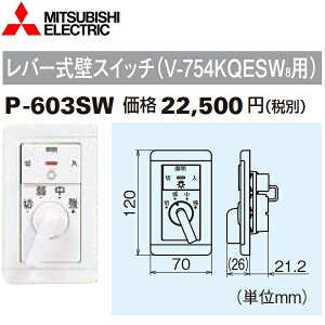 OHd@@P-603SW@Wt[ht@po[ǃXCb` CVXeށ@Z