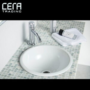 CERA@SB8020@In-Out/CAEg yzCgz ʊ̂ Zg[fBO ˁZ