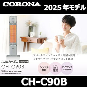 y2025NfzRi@CH-C90B(H)@ԊOg[@ ԃq[^[ O[ XJ[{ Z