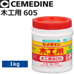 Z_C@؍Hp605 1kg[AE-194]@y1kg x 1ʁ^1z |_rjnG}V`ڒ e؍ޗp 