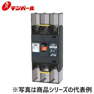 �e���p�[���H�Ɓ@223EA2230T[GB-223EA 225A 30mA]�@�R�d�Ւf��y�o�σ^�C�v�z�y�e�X�g���[�h�����o���z�@��