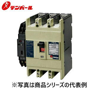 �e���p�[���H�Ɓ@B253GHC25W2L3FA[B-253GHC 250A]�@�z���p�Ւf��y�R�d�x��t�z�y�����^�z�y�⏕�X�C�b�`�z�@��