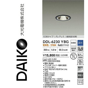 d@@DDL-6230YBG@LED_ECg@