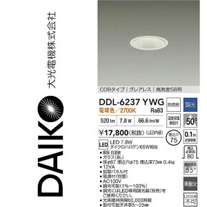 d@@DDL-6237YWG@LED_ECg@