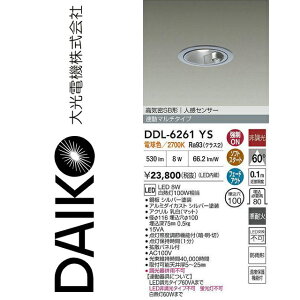 d@@DDL-6261YS@LEDlZT[t_ECg@