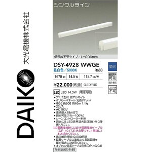 d@@DSY-4928WWGE@LEDԐڏƖp@