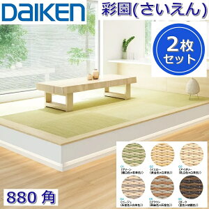 Daiken^匚HƁ@YQ50-2@a ʉ() yJ[6FI 880x880mm 2zy~݃^Cv 880pzCeA u@[G]
